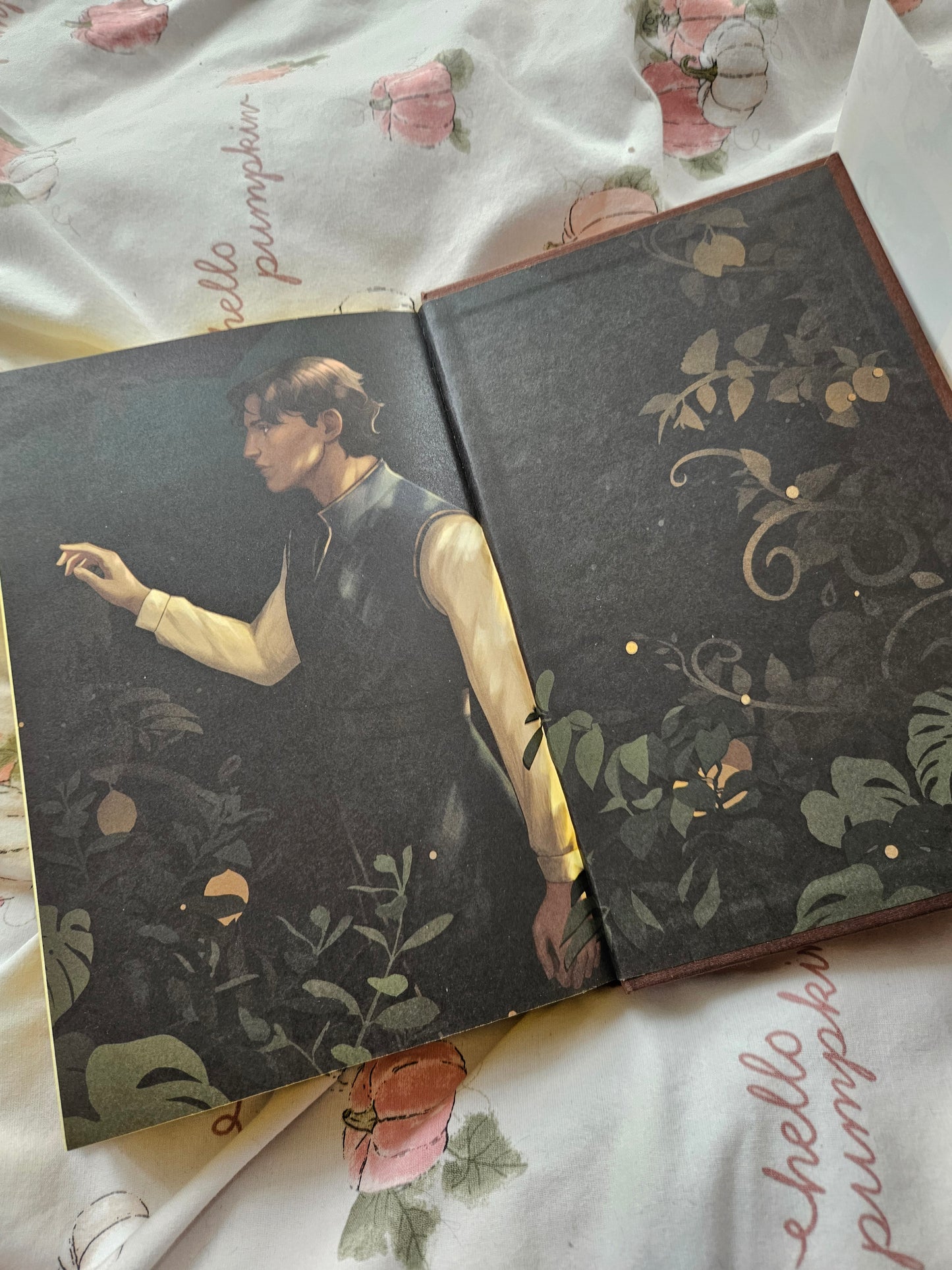 Faiyloot This Vicious Grace By Emily Theide